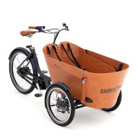 Babboe Flow Mountain 500 Wh