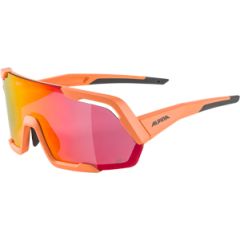 Alpina Brille ROCKET Q-LITE,