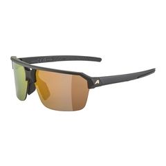 Alpina Brille Swift HR schwarz-gold matt