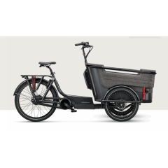 Batavus Fier-3