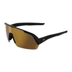 Alpina Brille TURBO HR black matt/mirror gold