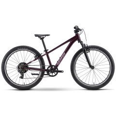 RAYMON Nayta 24 Comp